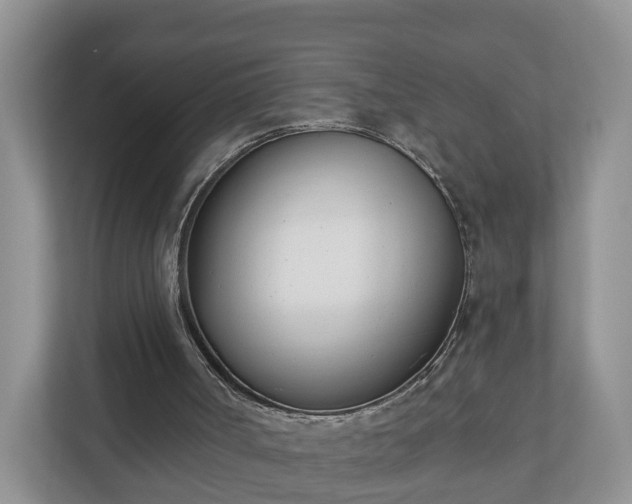 X0000110900002200906251347