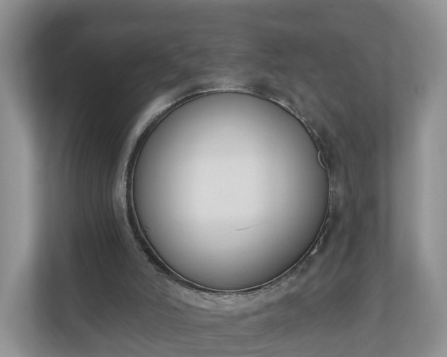 X0000110900006200906251347