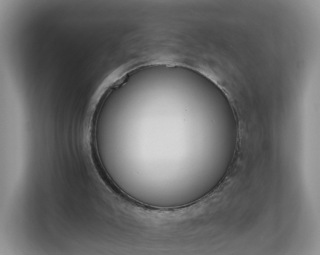 X0000110900007200906251347