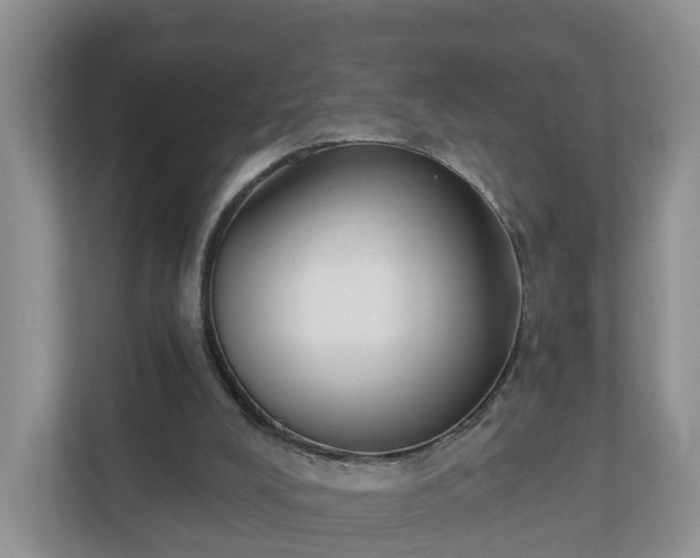 X0000110900008200906251347