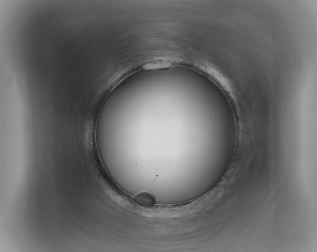X0000110900009200906251347