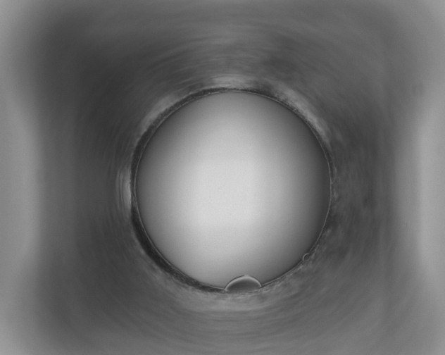 X0000110900011200906251347