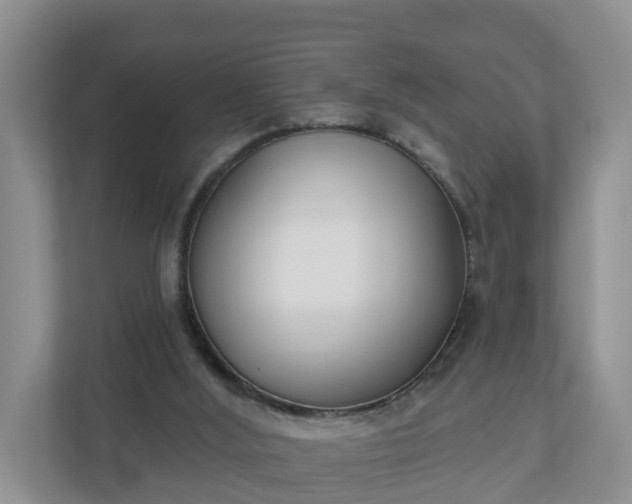 X0000110900012200906251347
