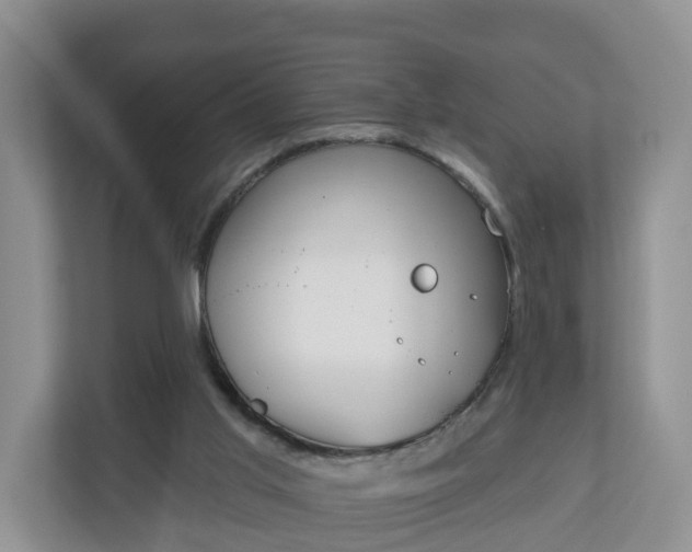 X0000110900013200906251347