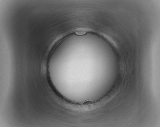X0000110900015200906251346