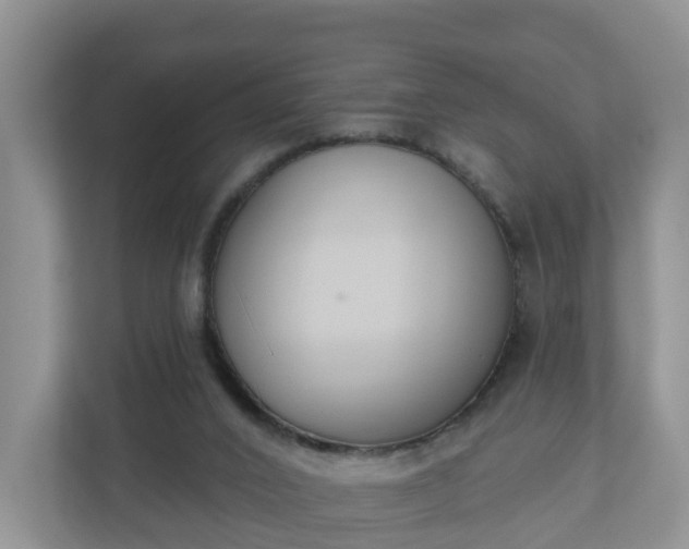 X0000110900016200906251346