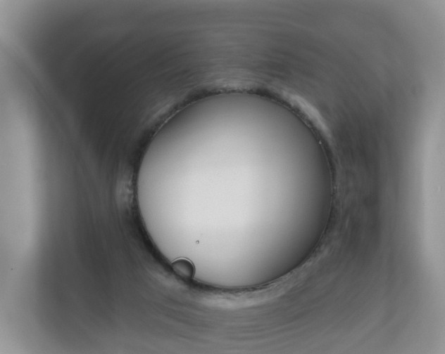 X0000110900017200906251346