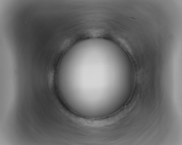 X0000110900018200906251346