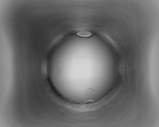 X0000110900023200906251346