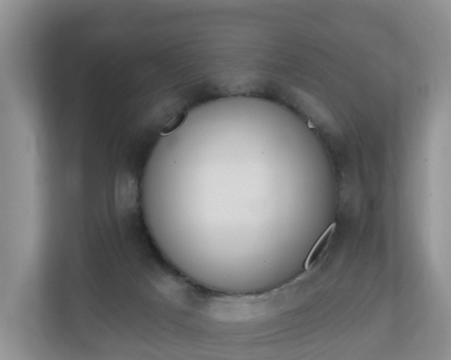 X0000110900025200906251346