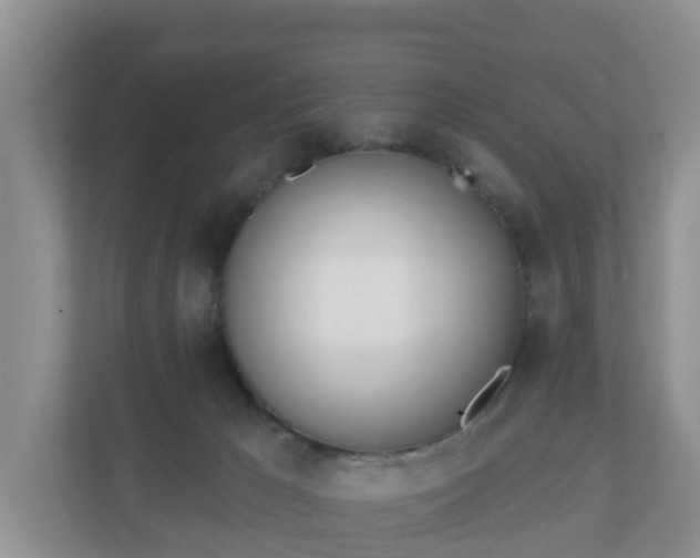 X0000110900029200906251346