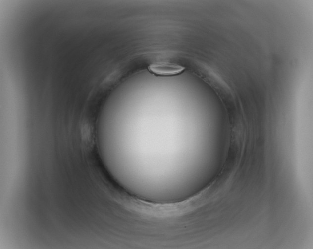 X0000110900031200906251346