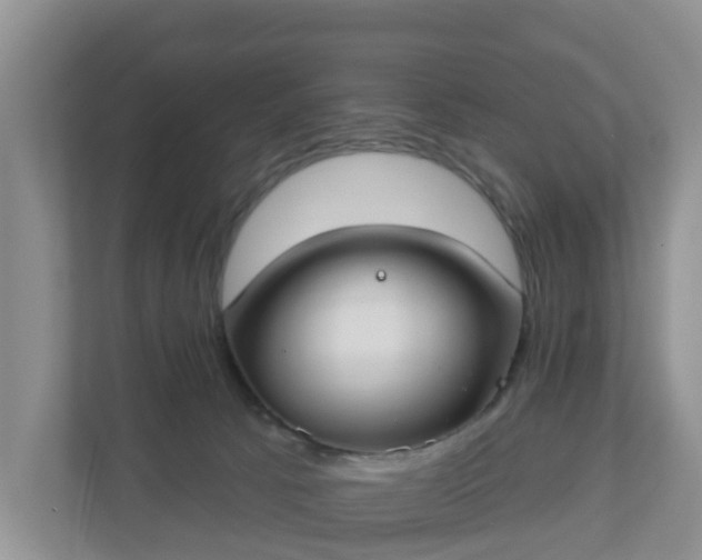 X0000110900033200906251346