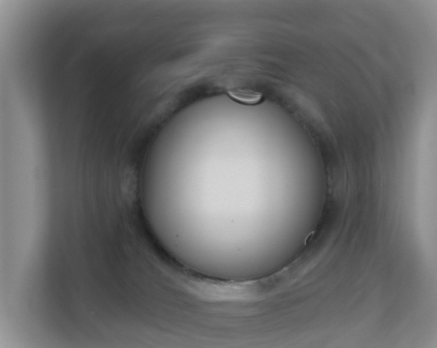 X0000110900036200906251346