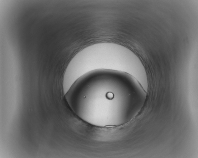 X0000110900037200906251346