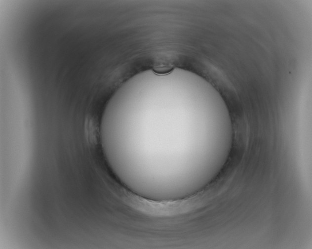 X0000110900038200906251346
