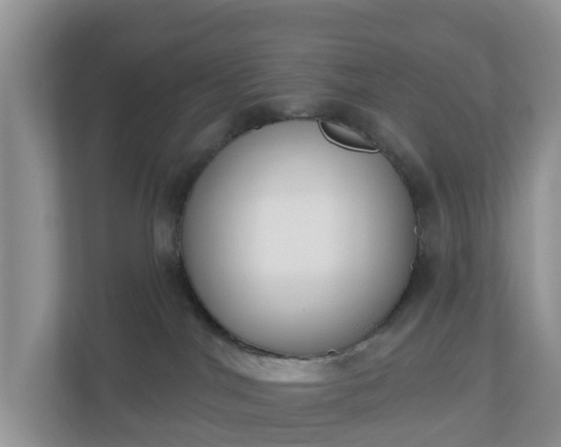 X0000110900044200906251346