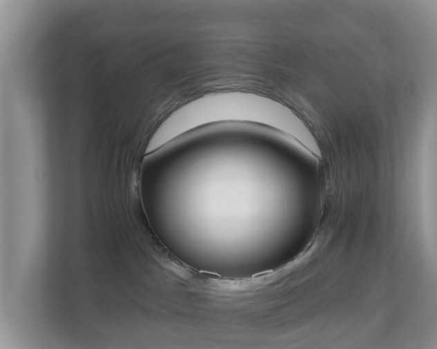 X0000110900045200906251346