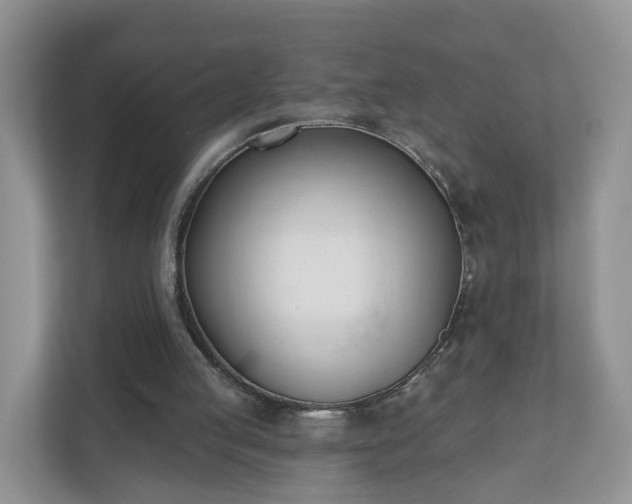 X0000110900053200906251345