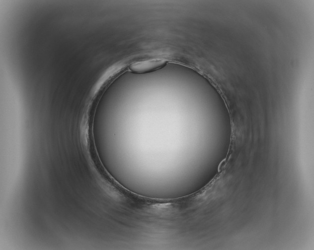 X0000110900054200906251346