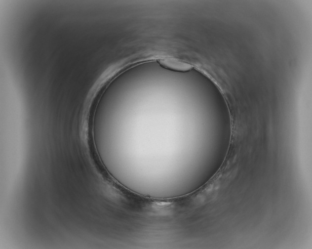 X0000110900055200906251346