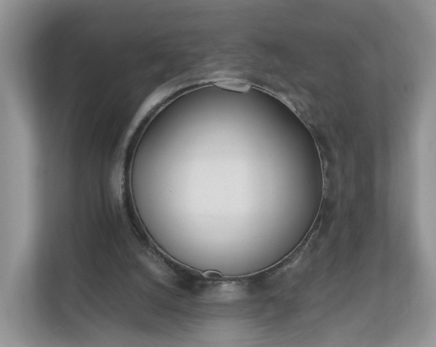 X0000110900056200906251346