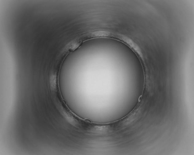 X0000110900057200906251346