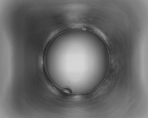 X0000110900059200906251346