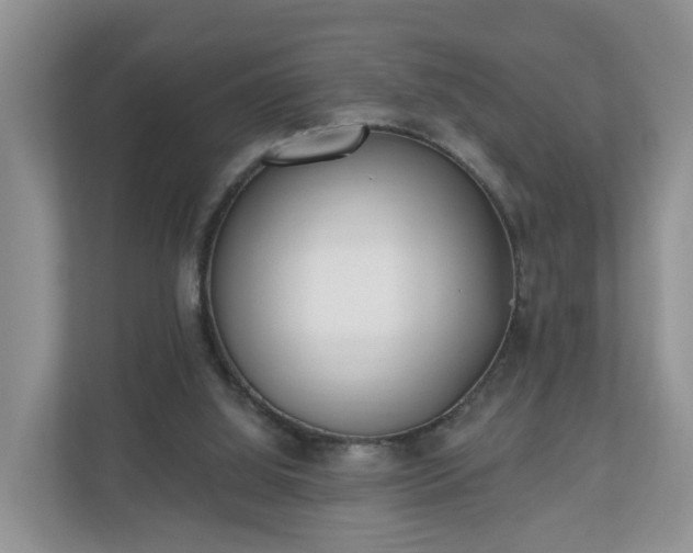 X0000110900060200906251346
