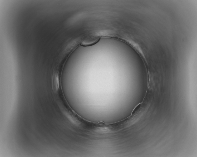 X0000110900061200906251346