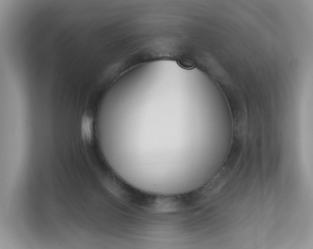X0000110900070200906251346
