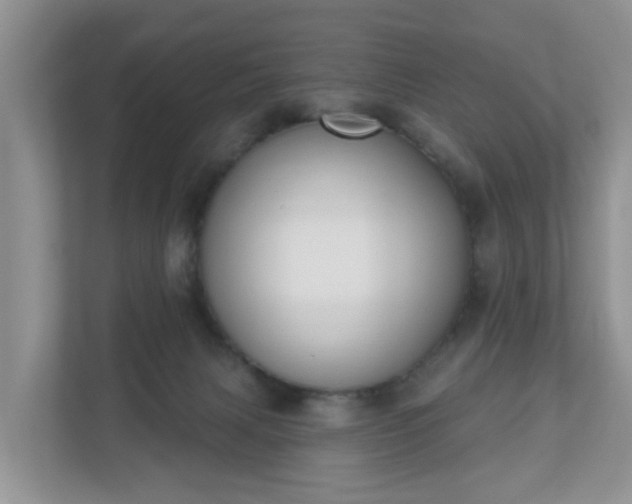 X0000110900079200906251346