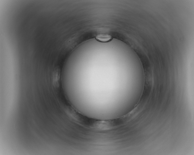 X0000110900082200906251346