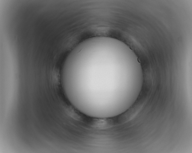 X0000110900083200906251346