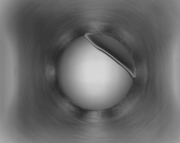 X0000110900084200906251346