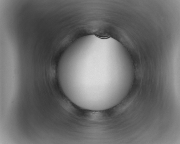 X0000110900085200906251346