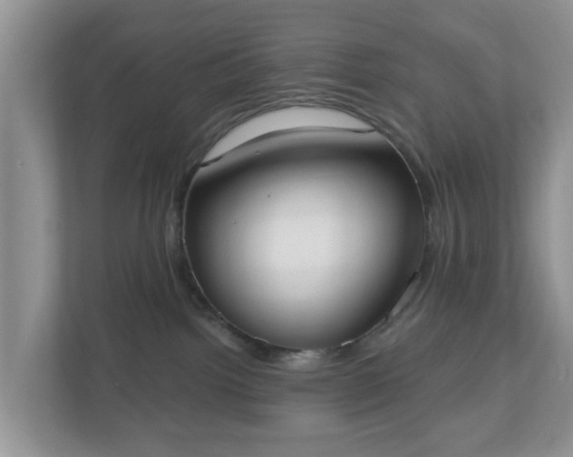 X0000110900092200906251346