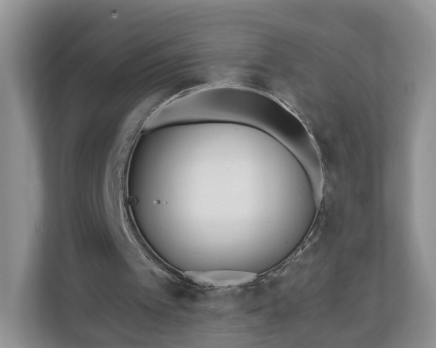 X0000110900097200906251345