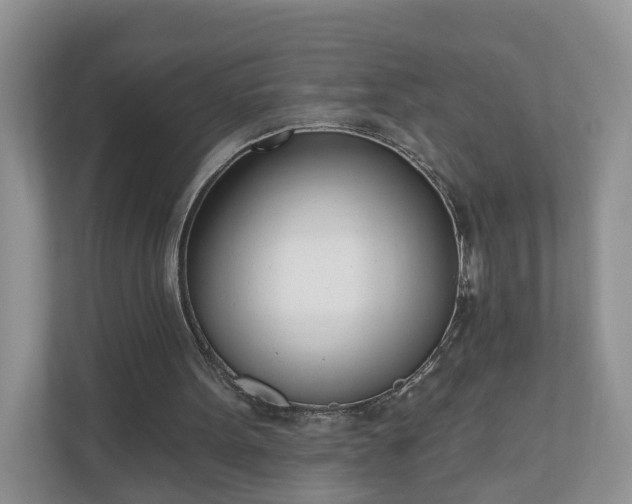 X0000110900099200906251345