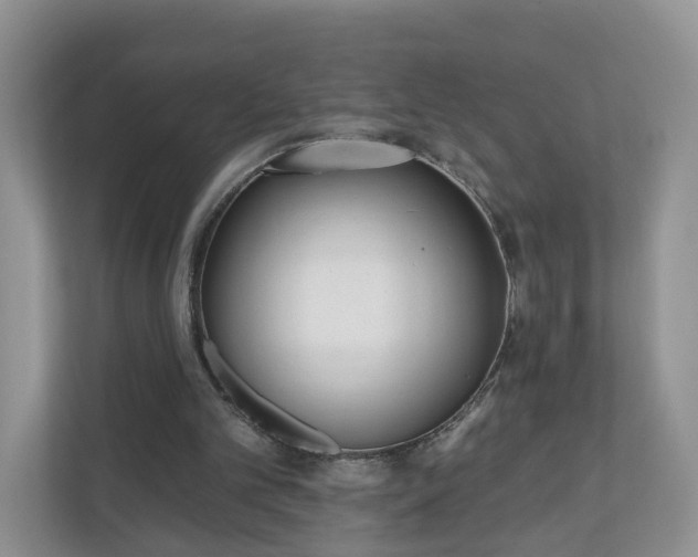 X0000110900101200906251345