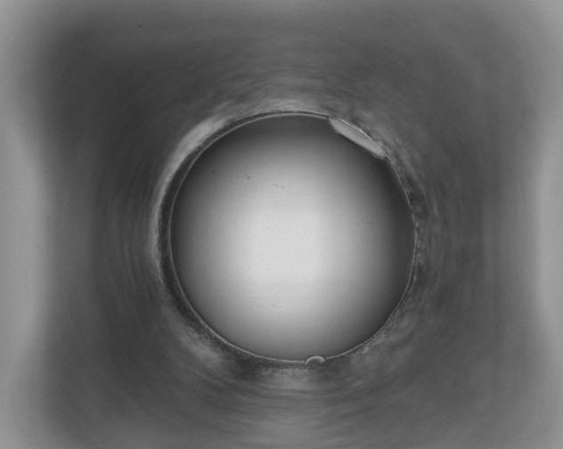 X0000110900104200906251345