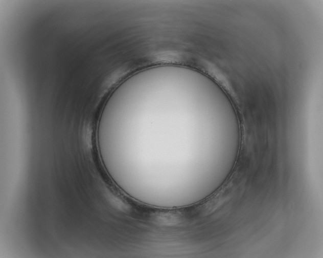 X0000110900106200906251345