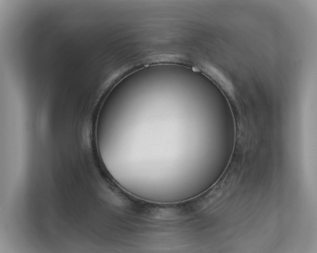 X0000110900107200906251345