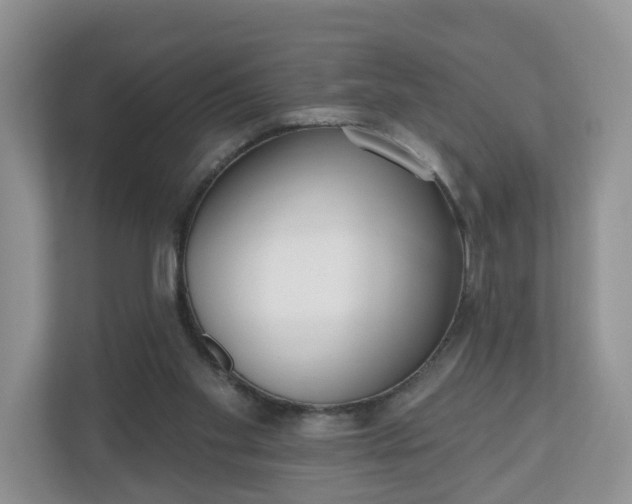 X0000110900109200906251345