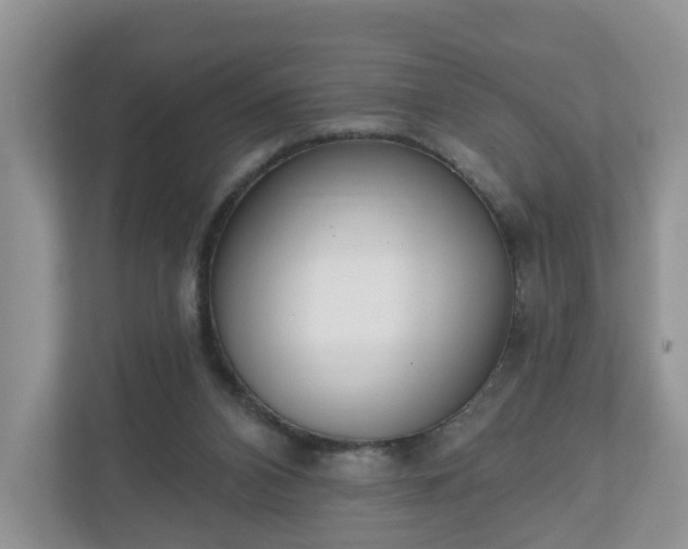 X0000110900112200906251345