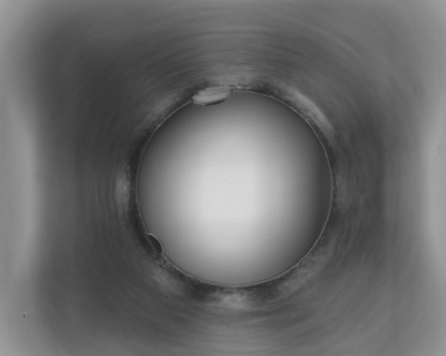 X0000110900113200906251345
