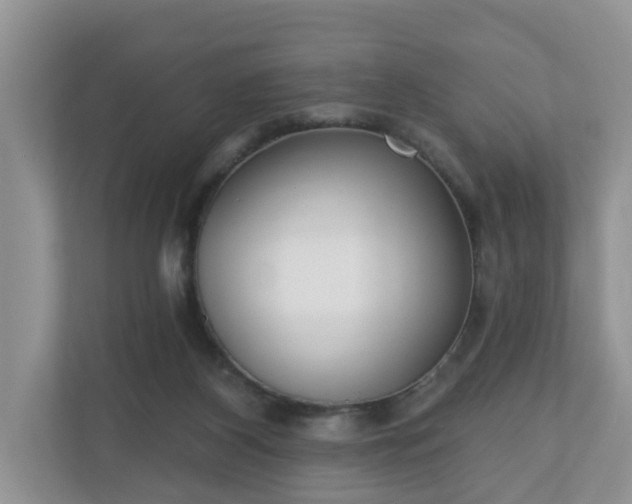 X0000110900116200906251345