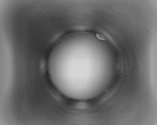 X0000110900119200906251345