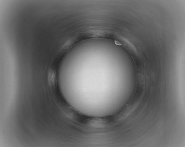 X0000110900123200906251345