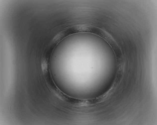 X0000110900124200906251345